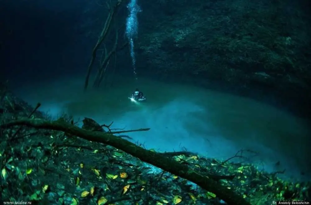 Naturaleza extraña y asombrosa