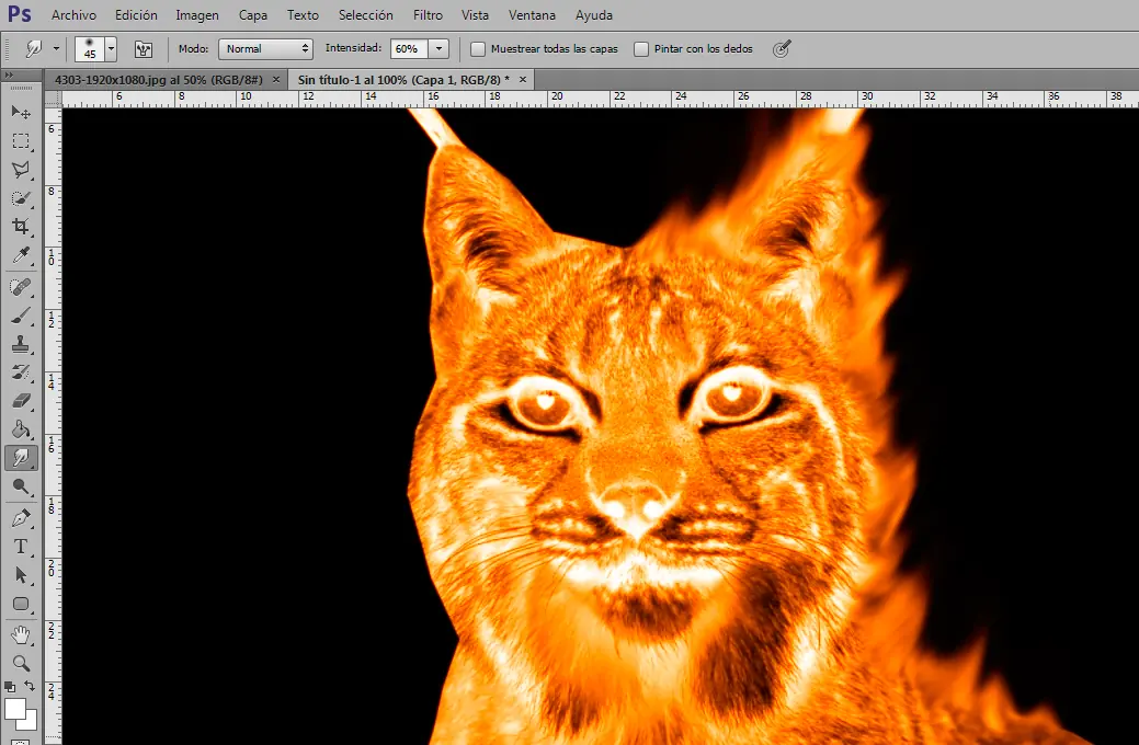 fuego lince