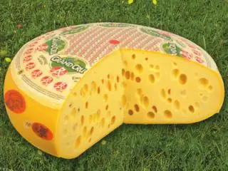 Silogismos