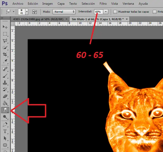 lince de fuego