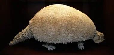 extintos