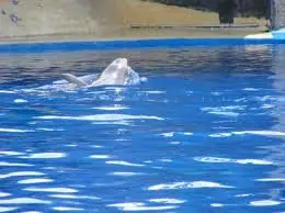 Visitar Tucumán y realizar estas actividades...