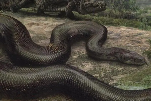 Las especies animales extintas más espectaculares