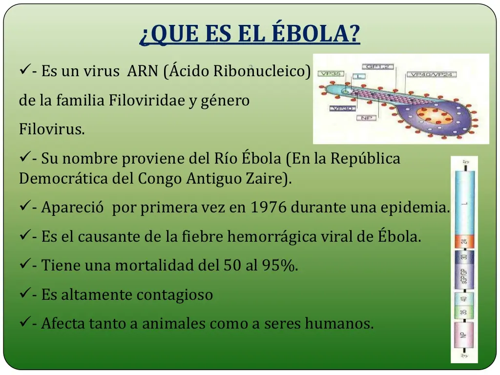 virus