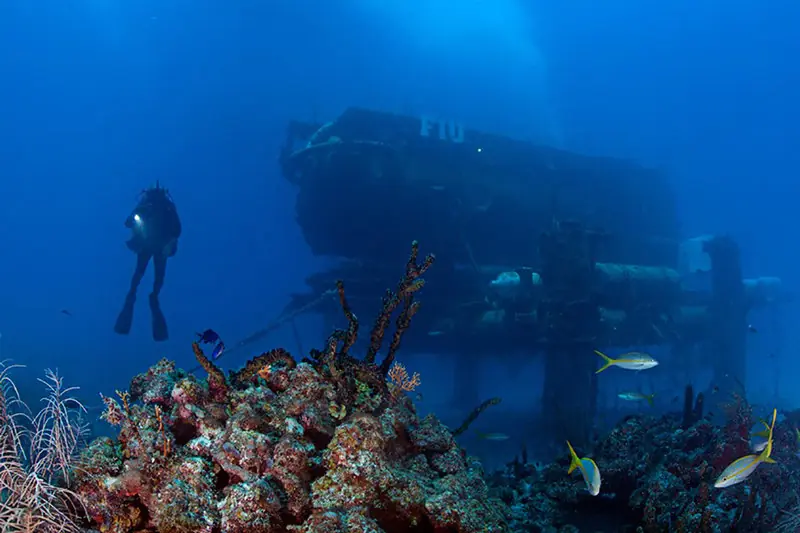 Cousteau