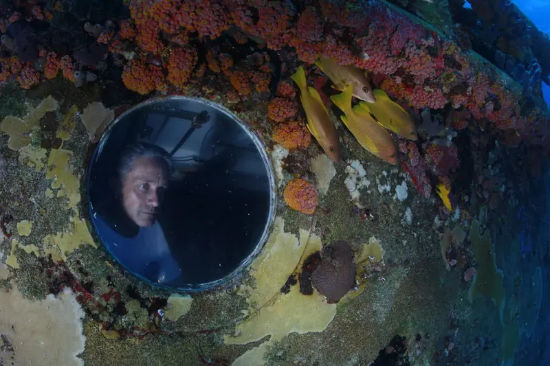 vida submarina