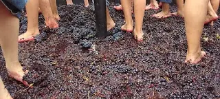 + 10 Si no sabías algo de esto.