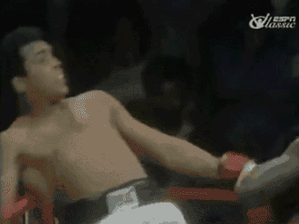 Gifs
