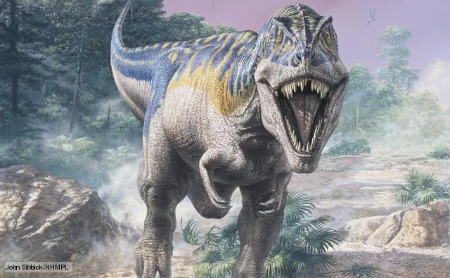 especies