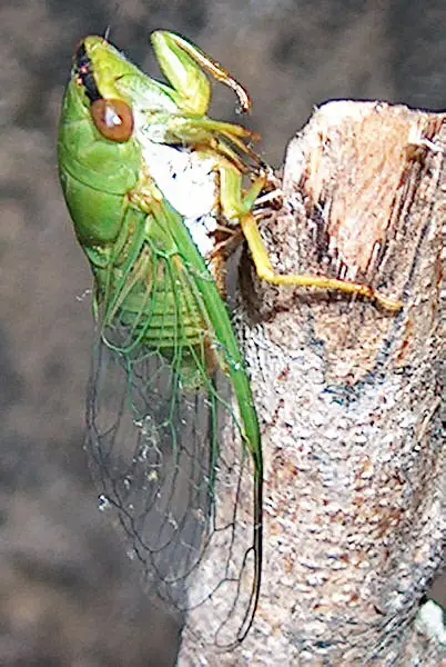 + 10 Si no sabías algo de esto.