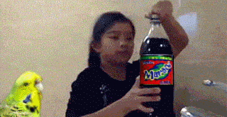 Gifs