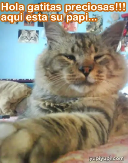 Humor Grafico