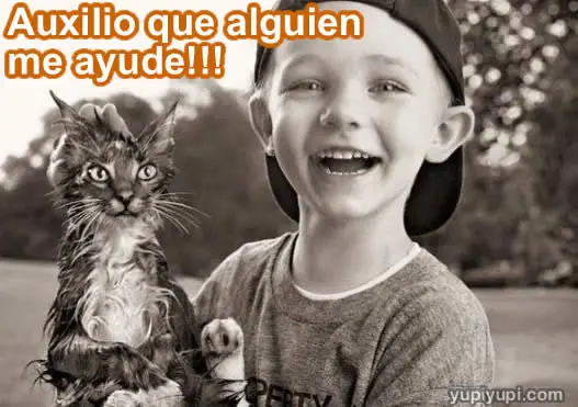 imagenes chistosas