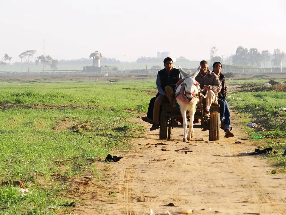 gaza