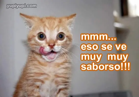 Humor Grafico