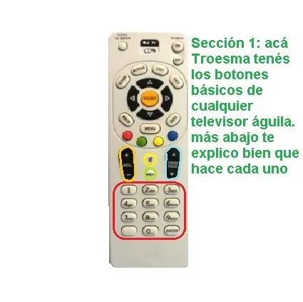 taringa