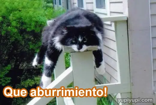 Humor Grafico