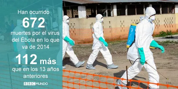 virus