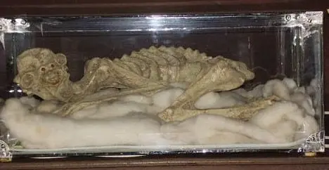 Monje