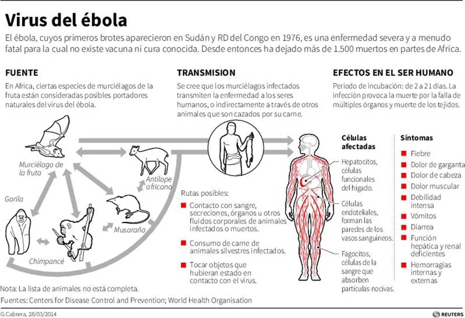 ebola