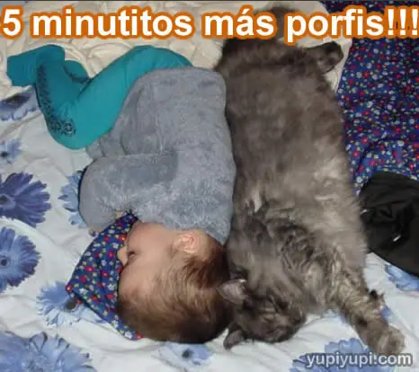 Humor Grafico