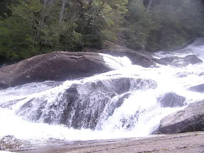 Puerto Blest - Bariloche - Rio Negro - Argentina