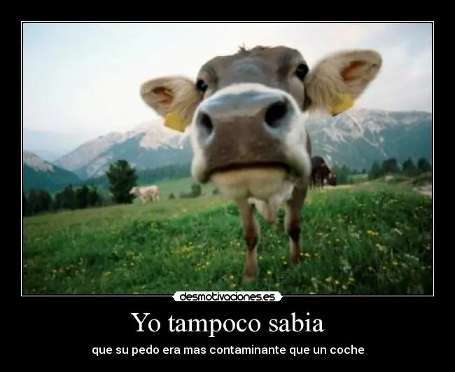 humor