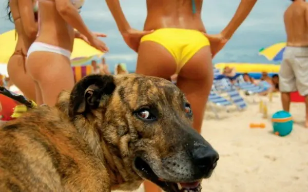 top 7 fotos tomadas en el mejor momento!!!!!!