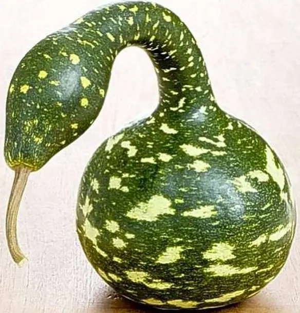 Parecidos