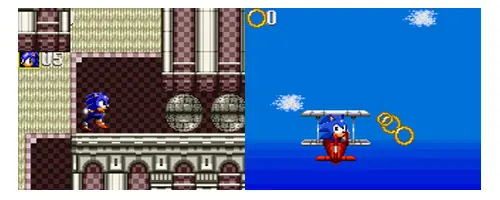 hedgehog