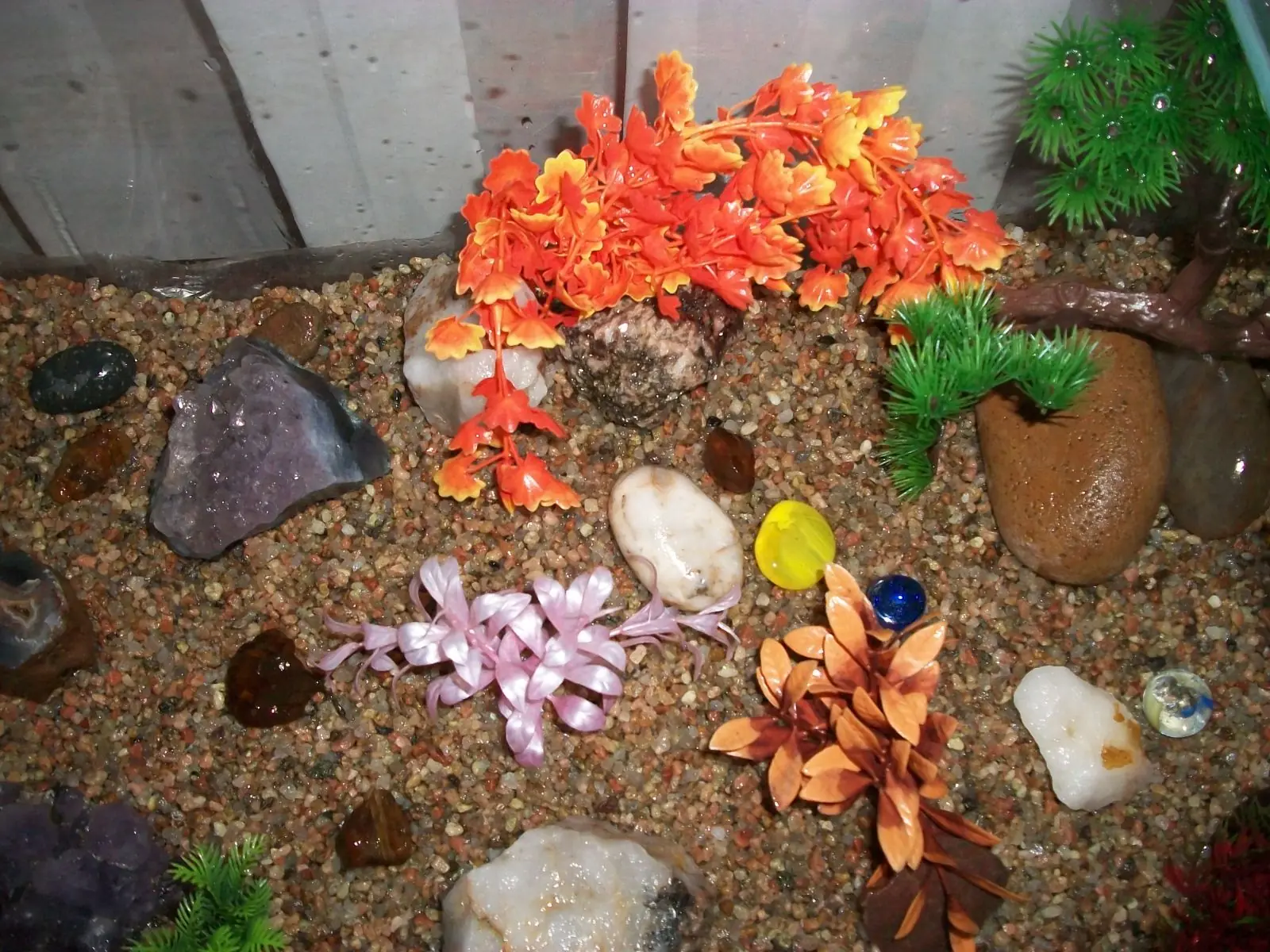 casa