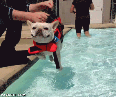 Gifs