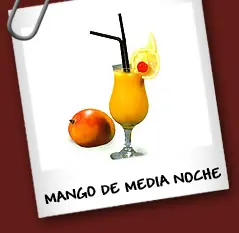 bebidas