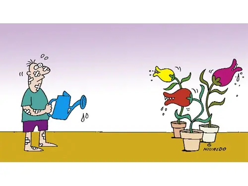 Chistes Varios