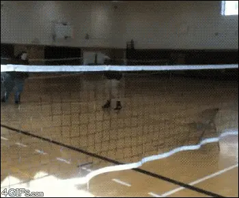 Gifs