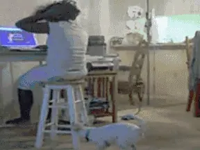 Fail y algunos Gifs