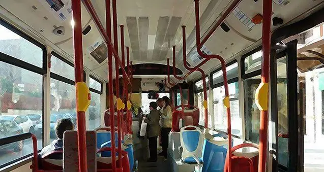 colectivos