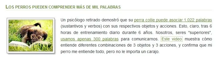 todo