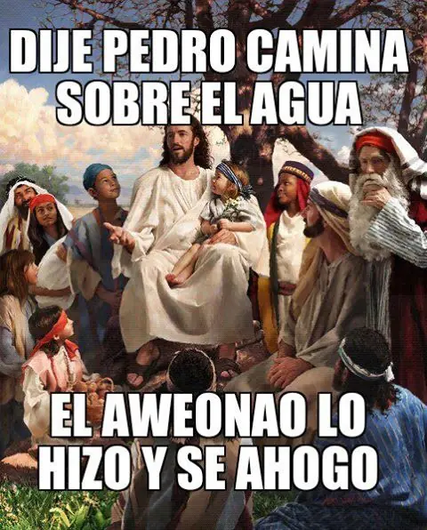 alianza pirata