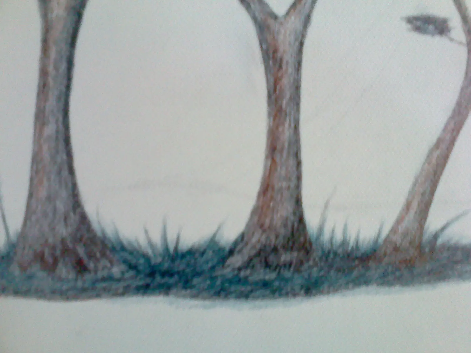 boligrafo