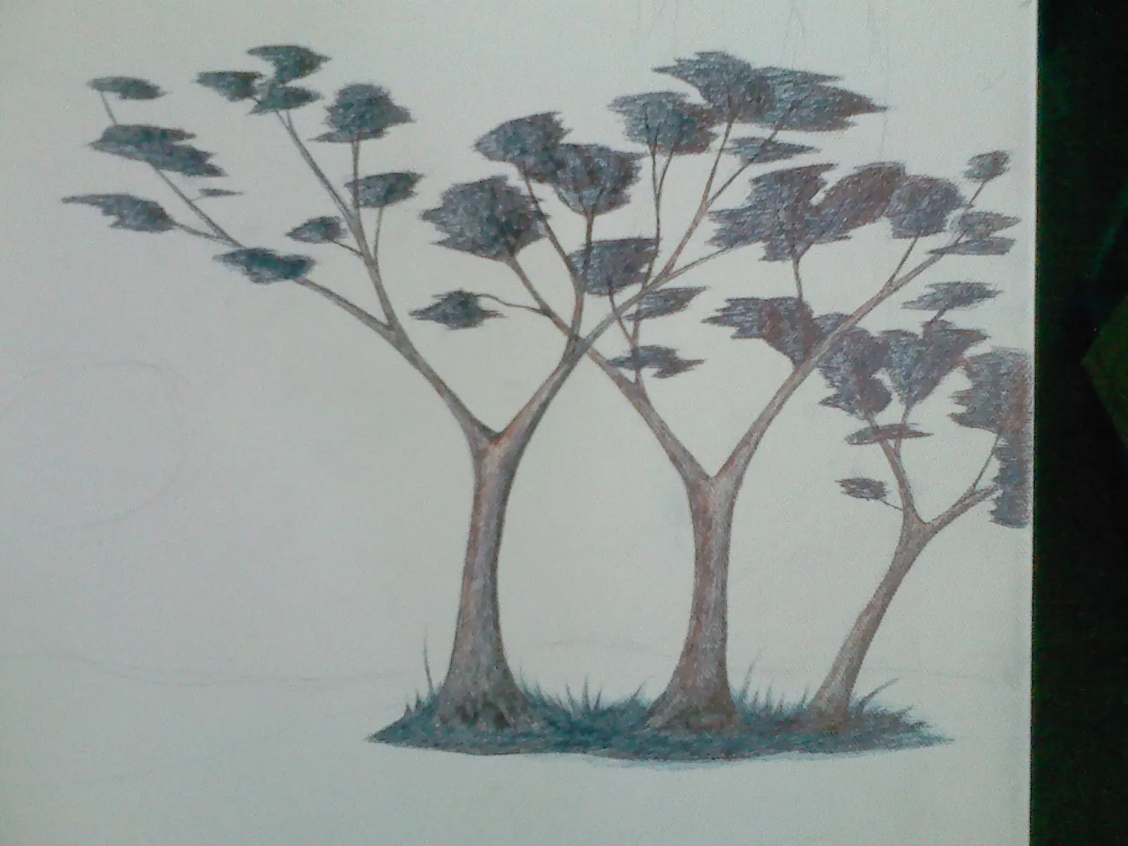 arte