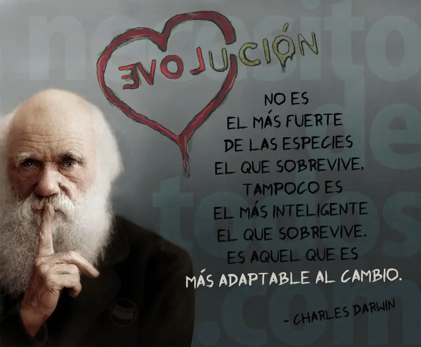 Mis 100 Preguntas Favoritas de la Vida (con Respuestas)
