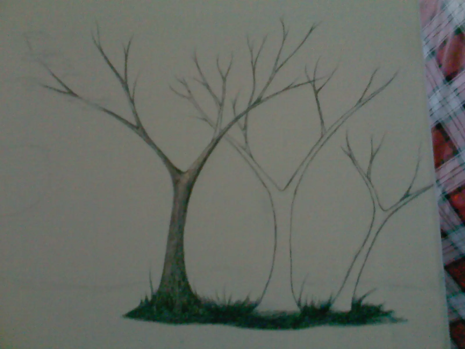 draw