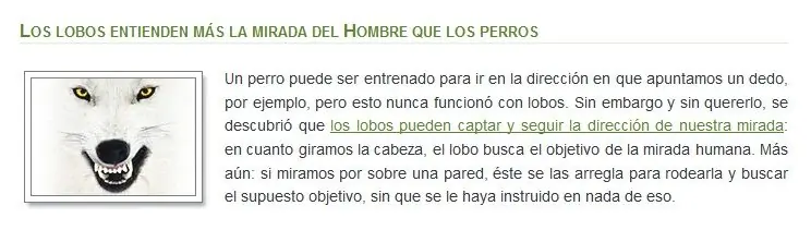 nuevos