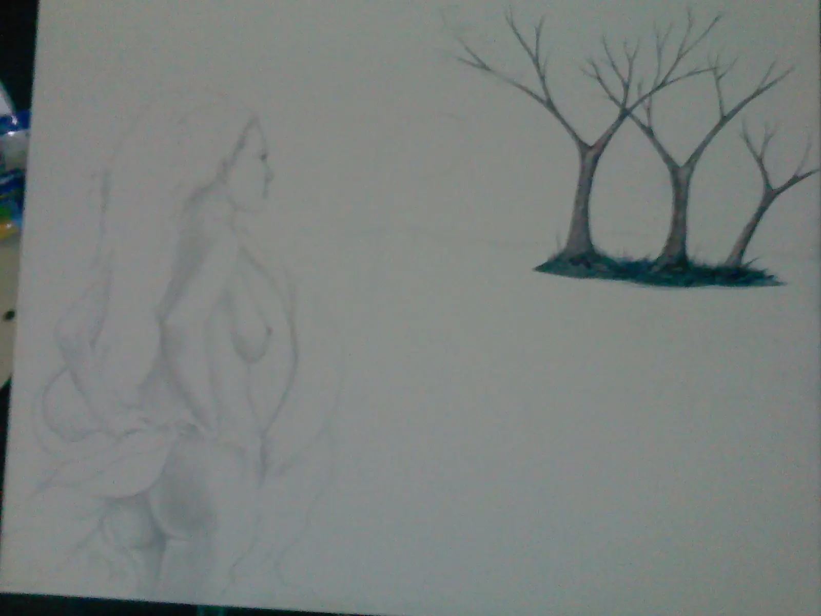 proceso