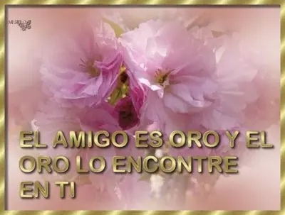 juntos