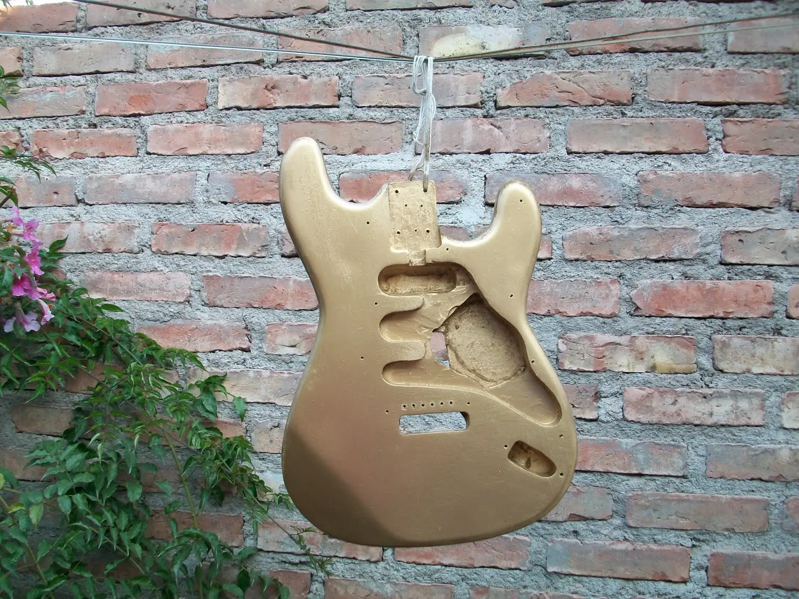 mástil. pickguard