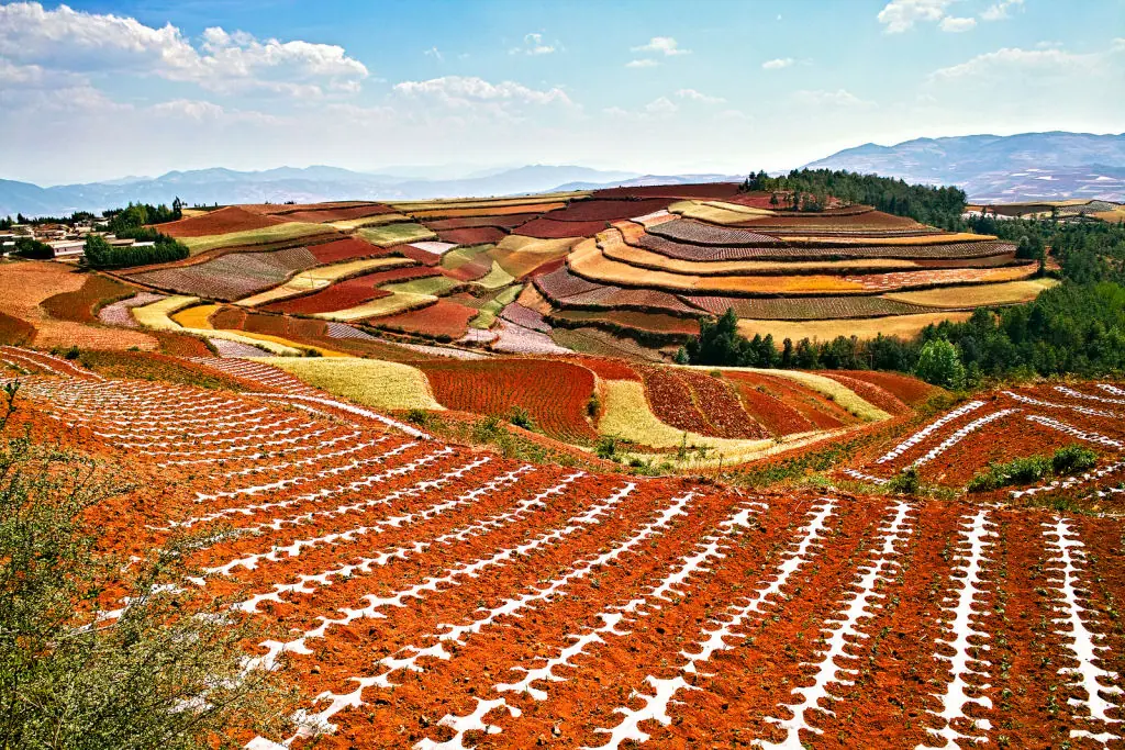 Terrazas de Tierra Roja, Dongchuan China