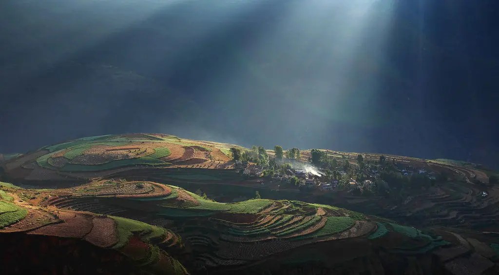 agricultura
