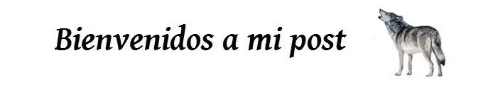 Mensajes que transmite tu cuerpo.